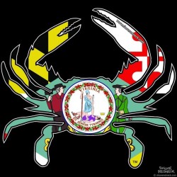 Shore Redneck Delmarva Crab Decal