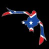 Shore Redneck Dixie Flying Duck Decal