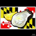 Shore Redneck Maryland Oyster Tribute Decal