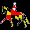 Shore Redneck MD Flag Dressage Horse 2 Decal