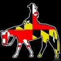 Shore Redneck MD Flag Western Pleasure Horse Decal