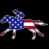 Shore Redneck USA Racing Horse Decal