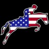 Shore Redneck USA Jumping Horse Decal