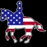 Shore Redneck USA Dressage Horse 1 Decal