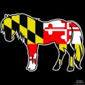 Shore Redneck Maryland Flag Pony Decal