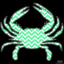 Shore Redneck Turquoise Chevron  Crab Decal