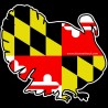 Shore Redneck MD Flag Turkey Decal