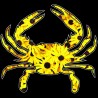 Shore Redneck Black Eyed Susan Crab Decal