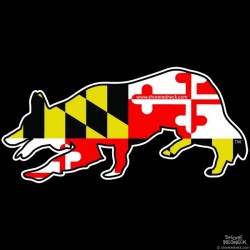 Shore Redneck Maryland Border Collie Decal