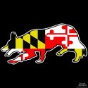 Shore Redneck Maryland Border Collie Decal