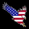 Shore Redneck USA Eagle Decal