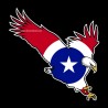 Shore Redneck Texas Eagle Decal