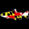 Shore Redneck Maryland Trout Decal