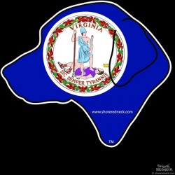 Shore Redneck VA Flag Retreiver Head Decal