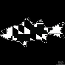 Shore Redneck Maryland B/W Rockfish Striper  Decal