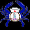 Shore Redneck VA Nurse Crab Decal