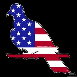 Shore Redneck US Flag Perched Dove Decal