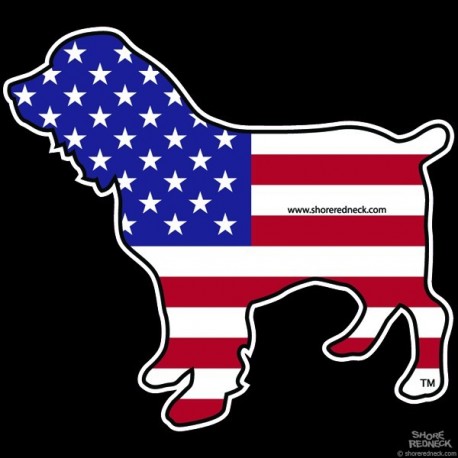 Shore Redneck US Flag Boykin Spaniel Decal