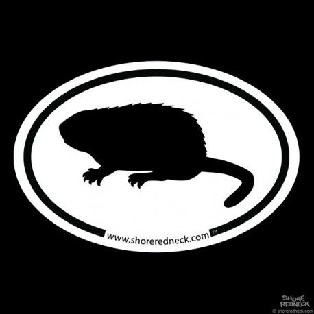 Shore Redneck Simple Muskrat Oval Decal