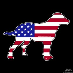 Shore Redneck USA Chesapeake Bay Retriever Decal