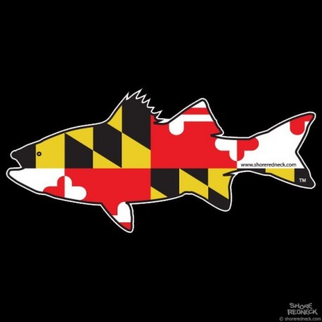 Shore Redneck Maryland Rockfish Striper  Decal