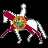 Shore Redneck USA Dressage Horse 2 Decal