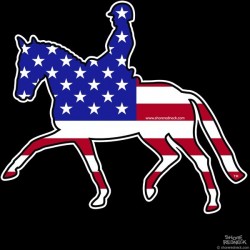 Shore Redneck USA Dressage Horse 2 Decal