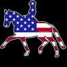 Shore Redneck USA Dressage Horse 2 Decal