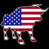 Shore Redneck USA Rodeo Bull Decal