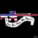 Shore Redneck US Flag Can You Hear Me Now Decal