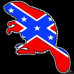 Shore Redneck Dixie Beaver Decal