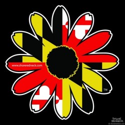 Shore Redneck MD Black Eyed Susan Decal