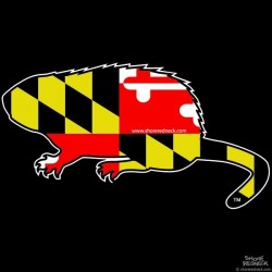 Shore Redneck MD Muskrat  Decal