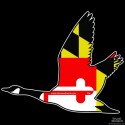 Shore Redneck MD Flyaway Goose Decal