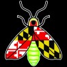 Shore Redneck MD Firefly Decal