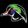 Shore Redneck Wood Duck Head Decal