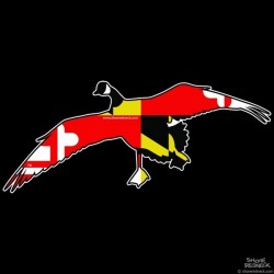 Shore Redneck Maryland Locked Up Goose Decal