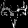 Shore Redneck Maryland Blackout Buck Skull Decal