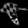 Shore Redneck Maryland Blackout Goose Decal