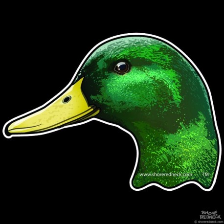 Shore Redneck Mallard Head Decal