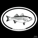 Shore Redneck Striped Bass Sketch Oval