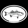 Shore Redneck Striped Bass Sketch Oval