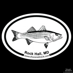 Shore Redneck Striped Bass Sketch Rock Hall Oval