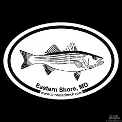 Shore Redneck Striped Bass Sketch Eastern Shore MD Oval