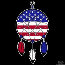 Shore Redneck Dreamcatcher USA Decal