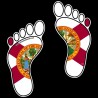 Shore Redneck Florida Footprints Decal