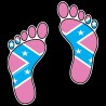 Shore Redneck Pink Dixie Footprints Decal