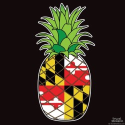 Shore Redneck MD Pineapple Decal