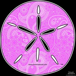 Shore Redneck Pink Paisley Sand Dollar Decal