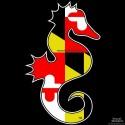 Shore Redneck Maryland Flag Seahorse Decal